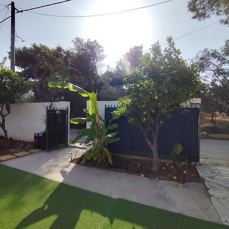 فيلا Johnson House Rafína المظهر الخارجي الصورة